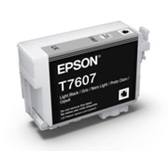 Picture of C13T760700