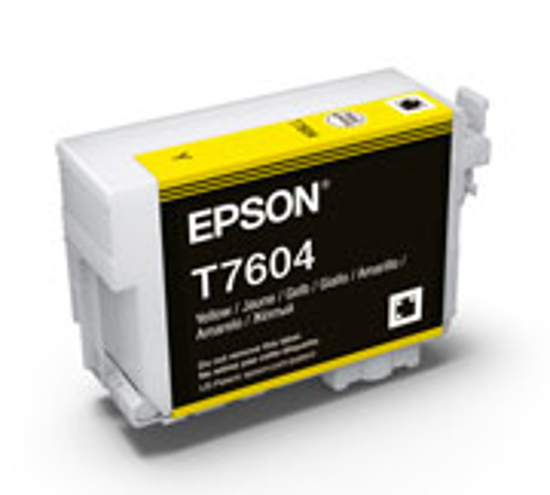 Picture of C13T760400